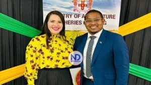 Gobierno de Jamaica le abre las puertas al aguacate dominicano