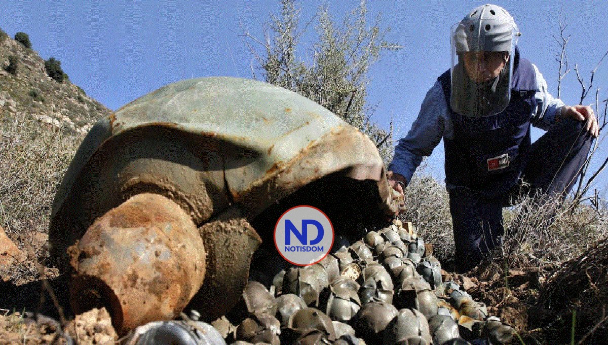 Relatora de la ONU urge a EEUU a reconsiderar el envío de bombas de racimo a Ucrania