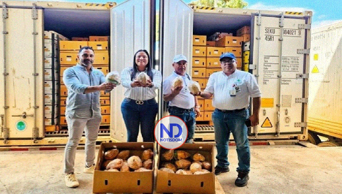 RD envía a EE.UU. primera carga de coco de agua