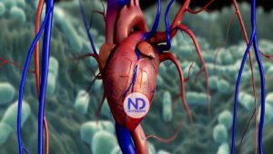 Entre 10 % y 15 % de quienes han padecido covid-19 pueden tener inflamación en el corazón