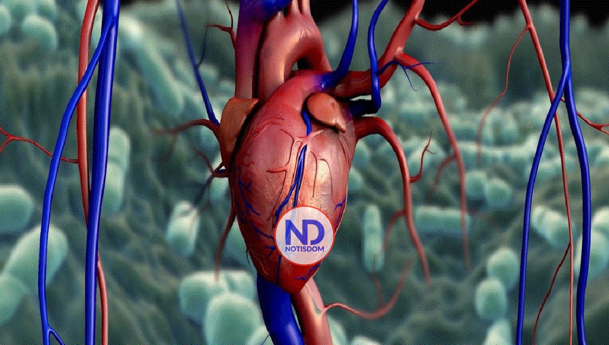 Entre 10 % y 15 % de quienes han padecido covid-19 pueden tener inflamación en el corazón