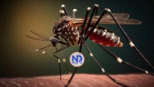 Abarrotadas las emergencias de los hospitales pediátricos por brote de dengue