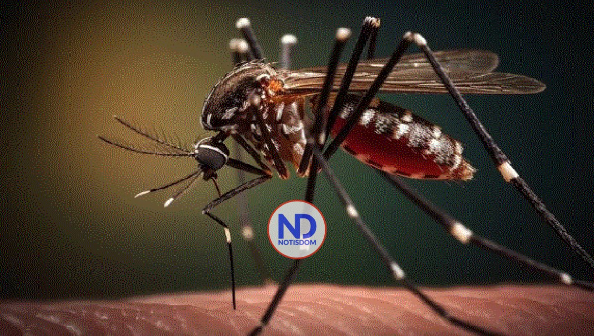 Abarrotadas las emergencias de los hospitales pediátricos por brote de dengue