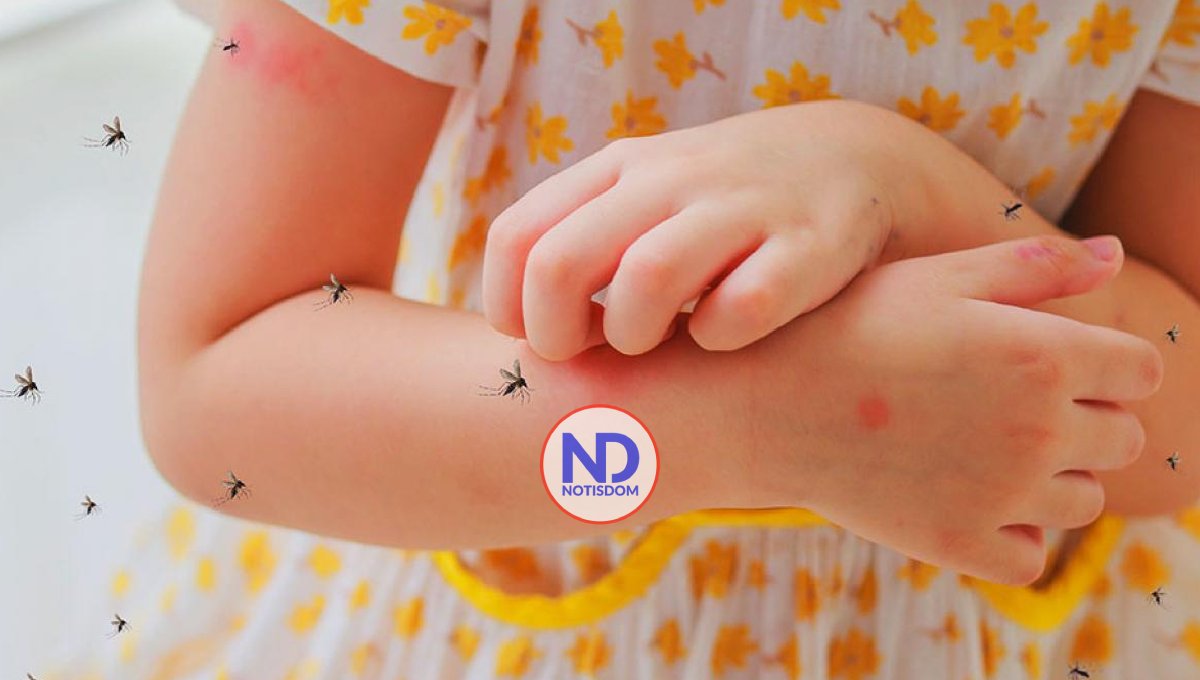 Brote de dengue se ensaña contra los niños; más de 200 menores están internos esta noche 2 Brote de dengue se ensaña contra los niños; más de 200 menores están internos esta noche