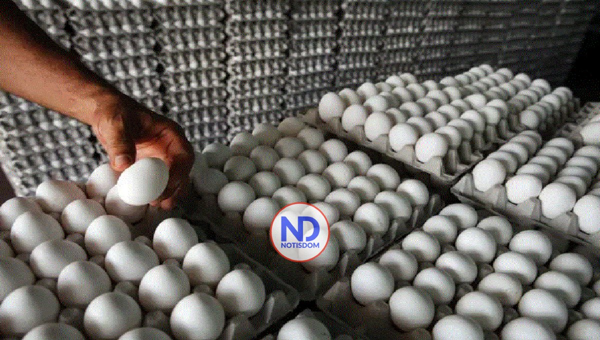 Inespre venderá a 100 pesos el cartón de huevos de productores de Dajabón