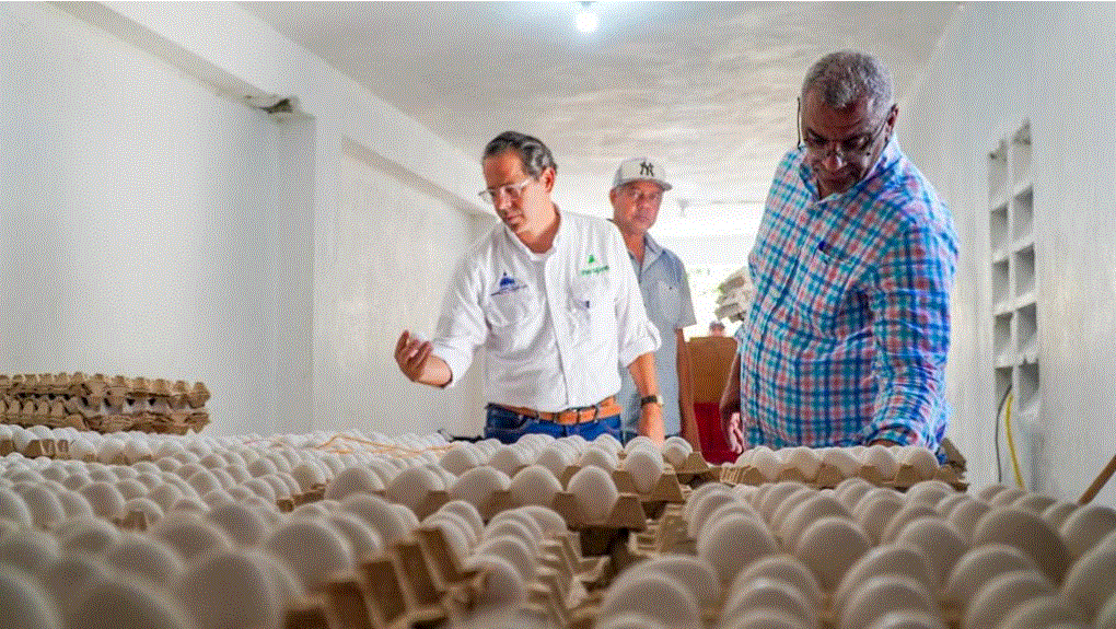 Inespre inicia compra de pollos y huevos a productores afectados por cierre de fronteras 3 HUEVOS 9 Inespre inicia compra de pollos y huevos a productores afectados por cierre de fronteras