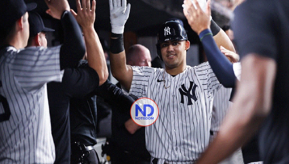 Jasson Domínguez fue sometido a la operación Tommy John