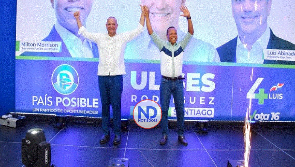 País Posible proclama Rodríguez candidato a alcalde por Santiago