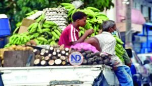 El trabajo infantil perpetúa la pobreza y desigualdad social