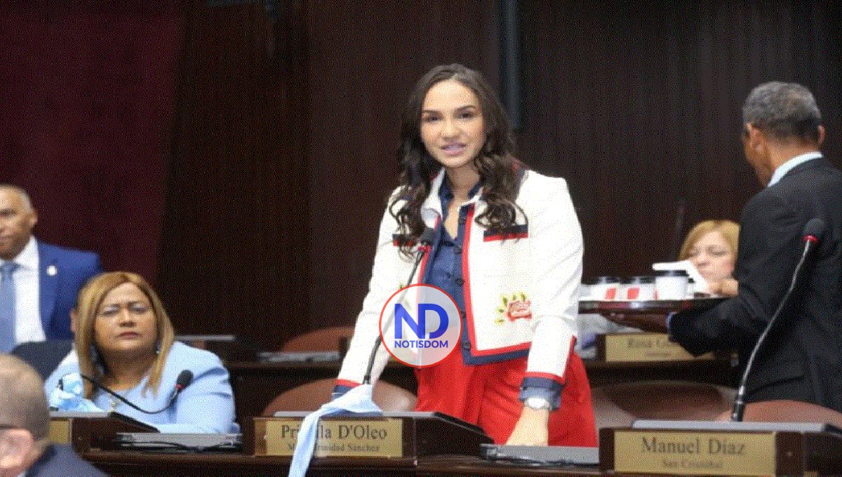 Diputada expresa preocupación por tasa de analfabetismo en RD