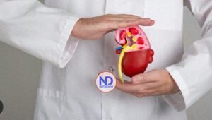 Desvelan por qué los riñones femeninos son más resistentes