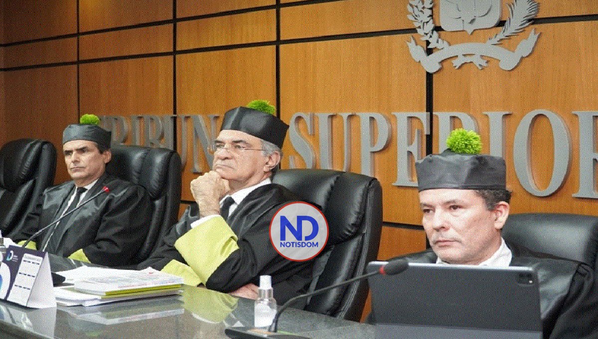 TSE declara improcedente Acción de Amparo interpuesta por Guido