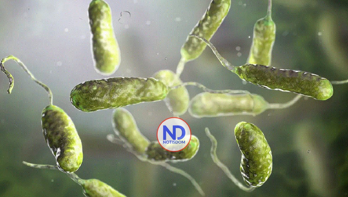 Alerta por aumento de las infecciones por bacterias carnívoras en EEUU