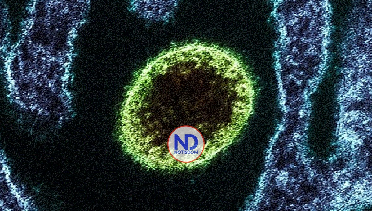 Alerta en el sur de la India tras dos muertes por el mortal virus Nipah