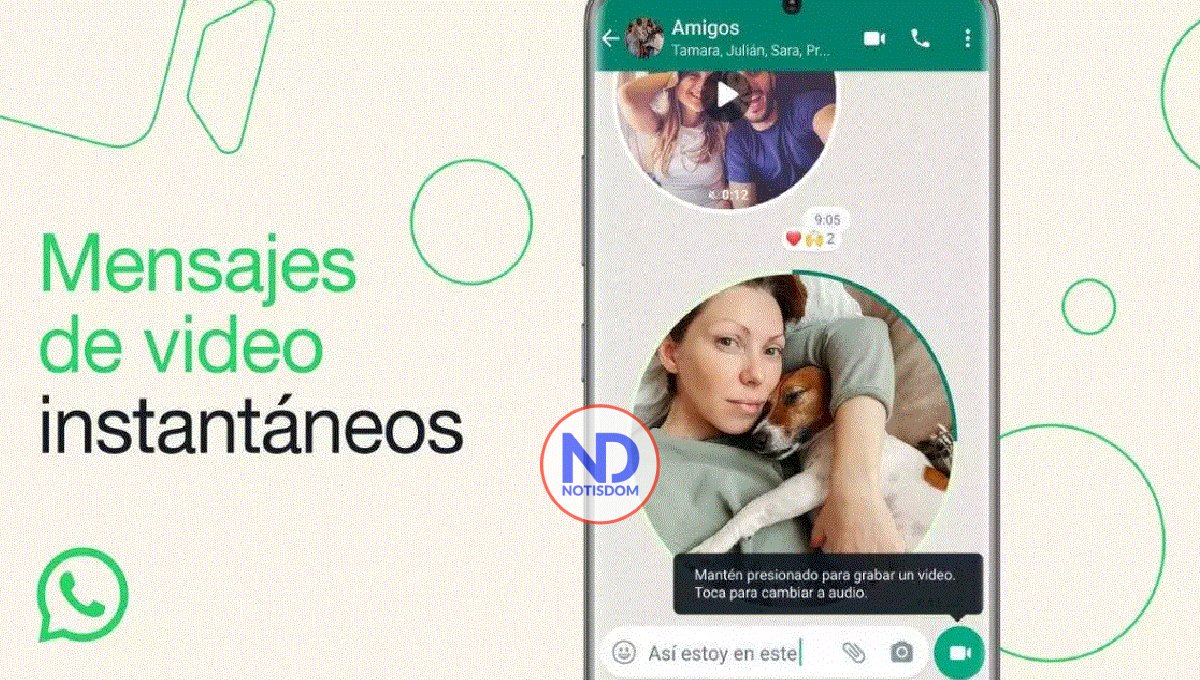 ¿Cómo desactivar los mensajes de video en WhatsApp?