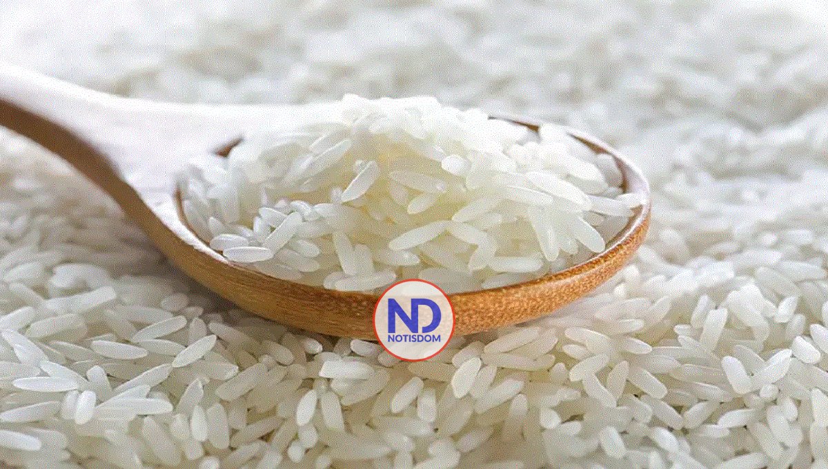 Día Internacional del Arroz