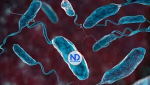 OMS estima que al menos mil millones de personas corren riesgo de contraer el cólera