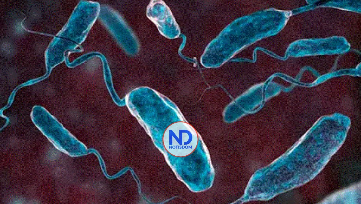 OMS estima que al menos mil millones de personas corren riesgo de contraer el cólera 2 OMS estima que al menos mil millones de personas corren riesgo de contraer el cólera