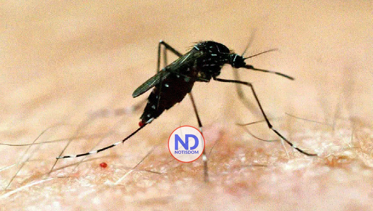 Investigan si los anticuerpos de Covid pueden aumentar el riesgo de dengue grave