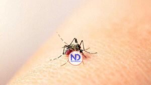 Muere niño de 9 años con síntomas de dengue