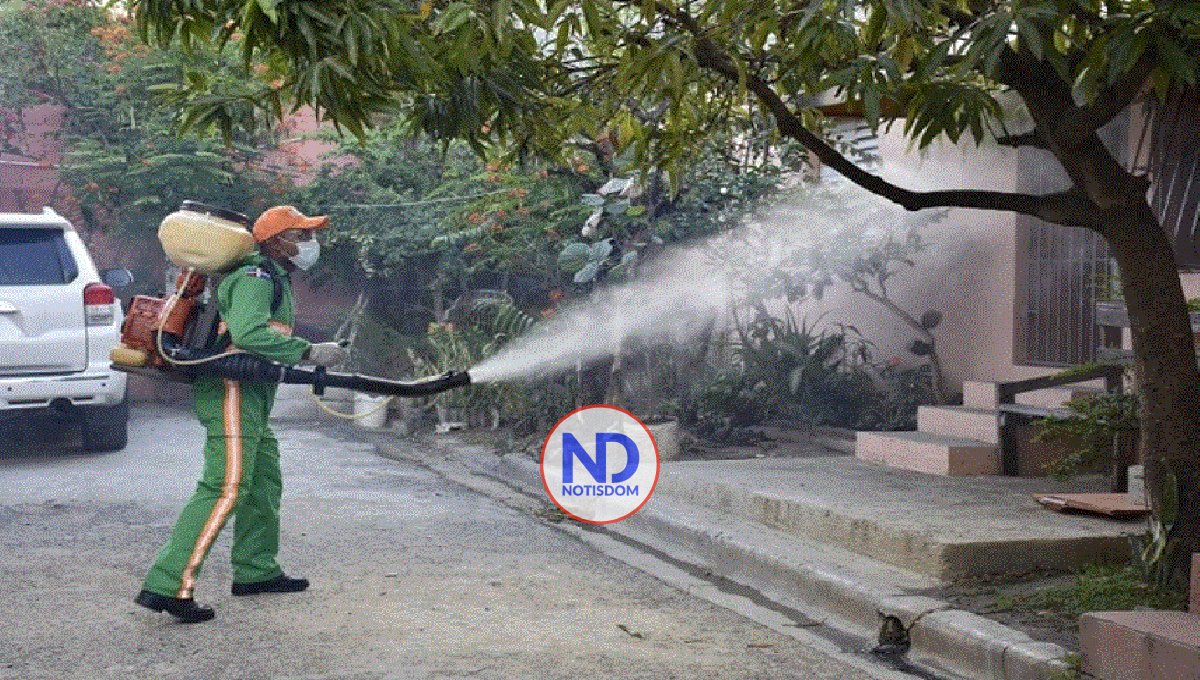 SP dice eliminaron 1,660 criaderos mosquito transmisor del dengue 2 SP dice eliminaron 1,660 criaderos mosquito transmisor del dengue