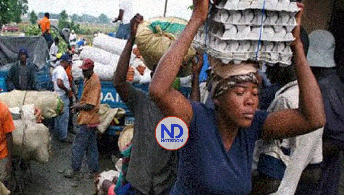 Haití trata de resolver escasez de huevos provocada cierre frontera