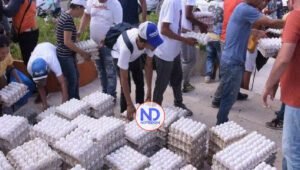 Millones de gallinas serán sacrificadas por cierre de frontera