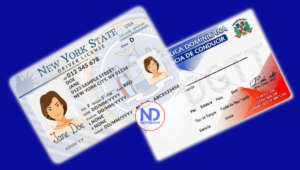 Sepa lo que debe hacer para homologar su licencia de conducir entre RD y NY