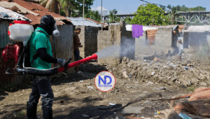 ¿Las jornadas de fumigación serán eficaces para reducir los casos de dengue?