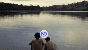 CRÍTICA DE CINE: Yaque, el revelador documental que hay que ver