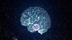 Científicos crean «atlas» de células cerebrales que permitirá curar trastornos mentales