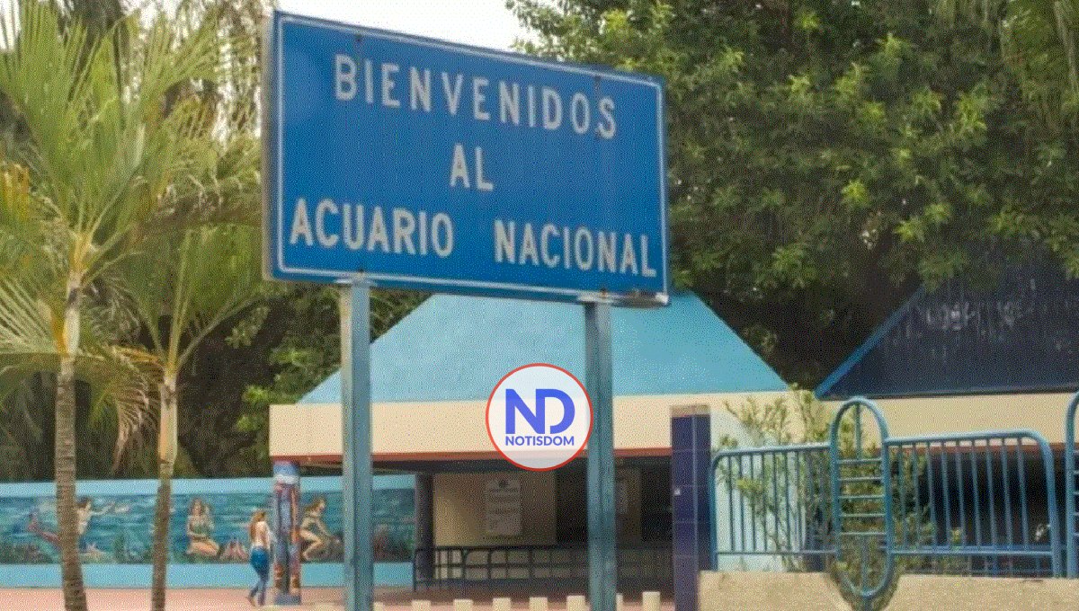 Suspenden directora general del Acuario Nacional, Wanda García 2 Suspenden directora general del Acuario Nacional, Wanda García