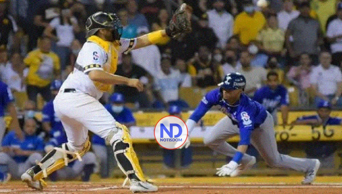 Tigres y Águilas se enfrentarán en histórico partido en Nueva York 2 Tigres y Águilas se enfrentarán en histórico partido en Nueva York