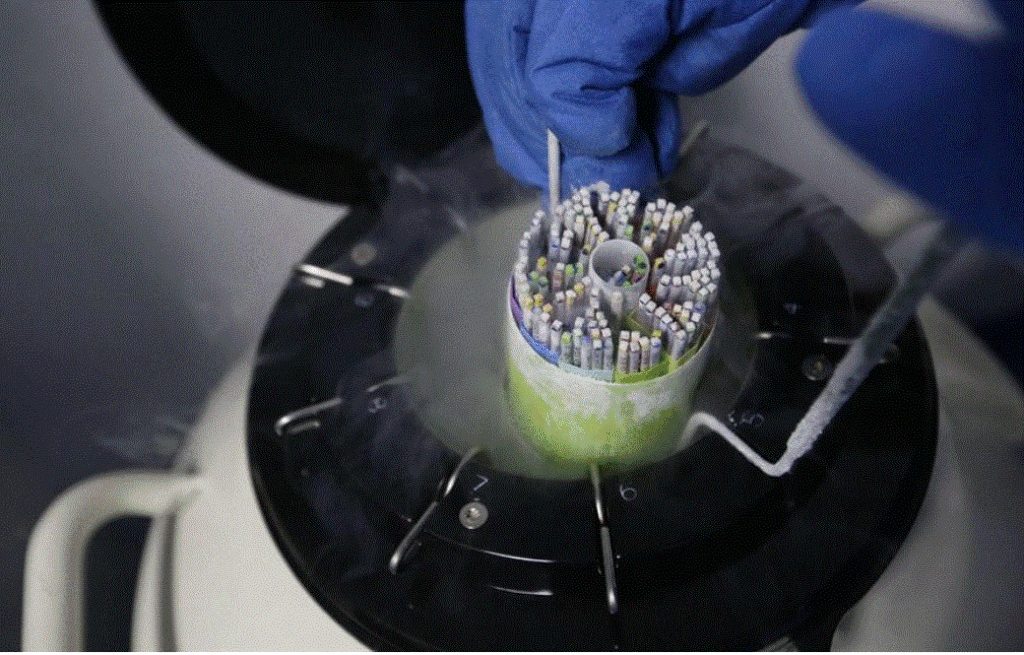 ANALISIS OVARIO ¿En qué consiste el rejuvenecimiento ovárico?