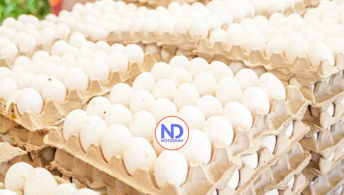 Gobierno dispone venta huevos a 100 pesos en 76 supermercados