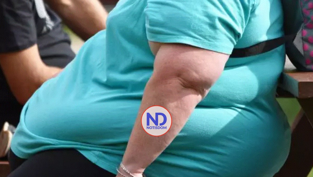 La obesidad podría no ser el único vínculo entre los ultraprocesados y ciertos cánceres