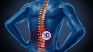 Estudio arroja luz sobre el envejecimiento de la médula espinal