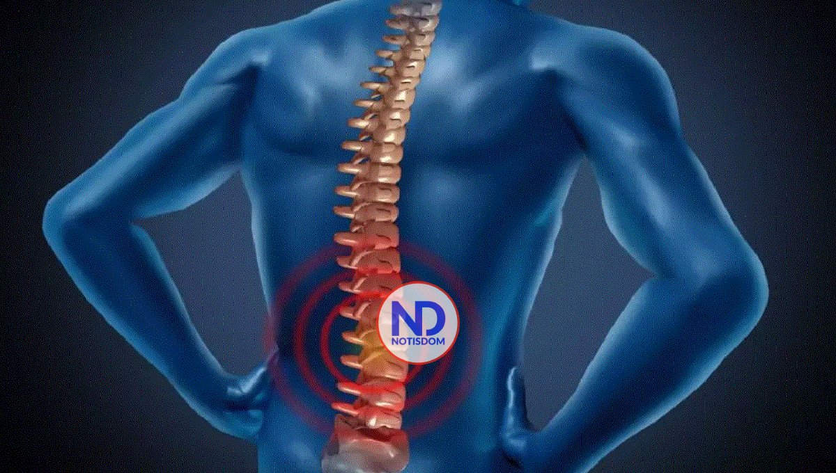 Estudio arroja luz sobre el envejecimiento de la médula espinal 2 Estudio arroja luz sobre el envejecimiento de la médula espinal