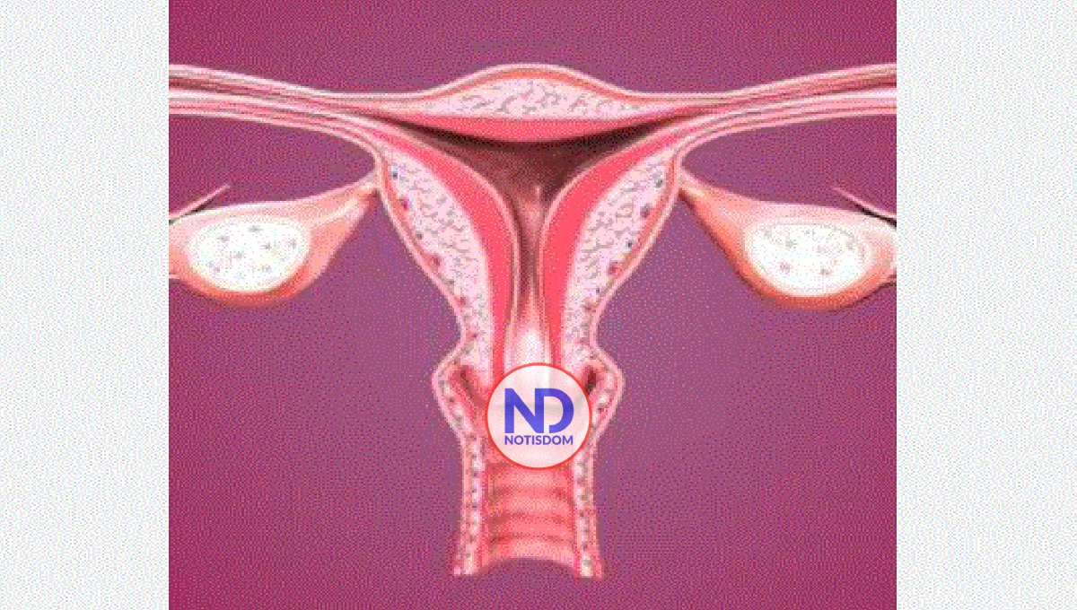 Tengo 9 días con un sangrado muy frecuente ¿Qué podría ser?