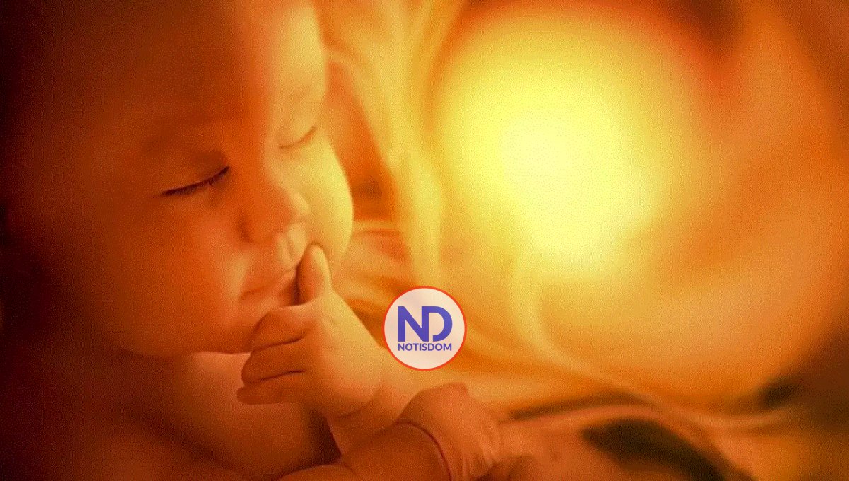 La capacidad del lenguaje de los bebés inicia desde el útero