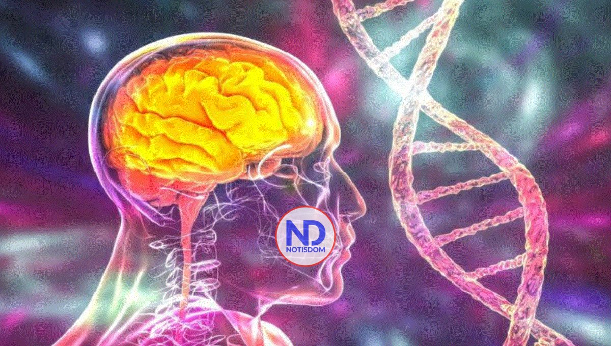 Científicos buscan identificar mutaciones del alzheimer 2 Científicos buscan identificar mutaciones del alzheimer