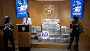 Ocupan 401 paquetes «cocaína» en el Puerto Multimodal Caucedo