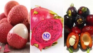 Frutas poco conocidas con increíbles beneficios para la salud