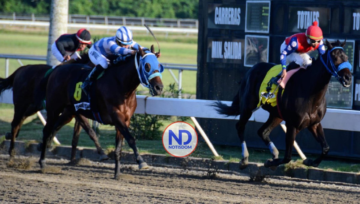 Puckett gana el Clásico Navidad en día de récord en apuestas
