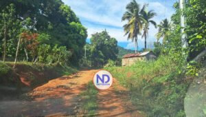 Ambiente soleado y temperaturas agradables con escasas lluvias