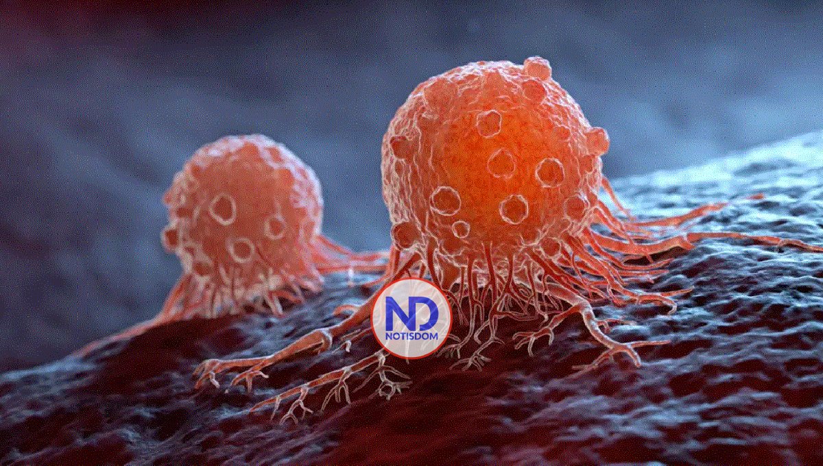 Presentan últimas inmunoterapias frente al cáncer