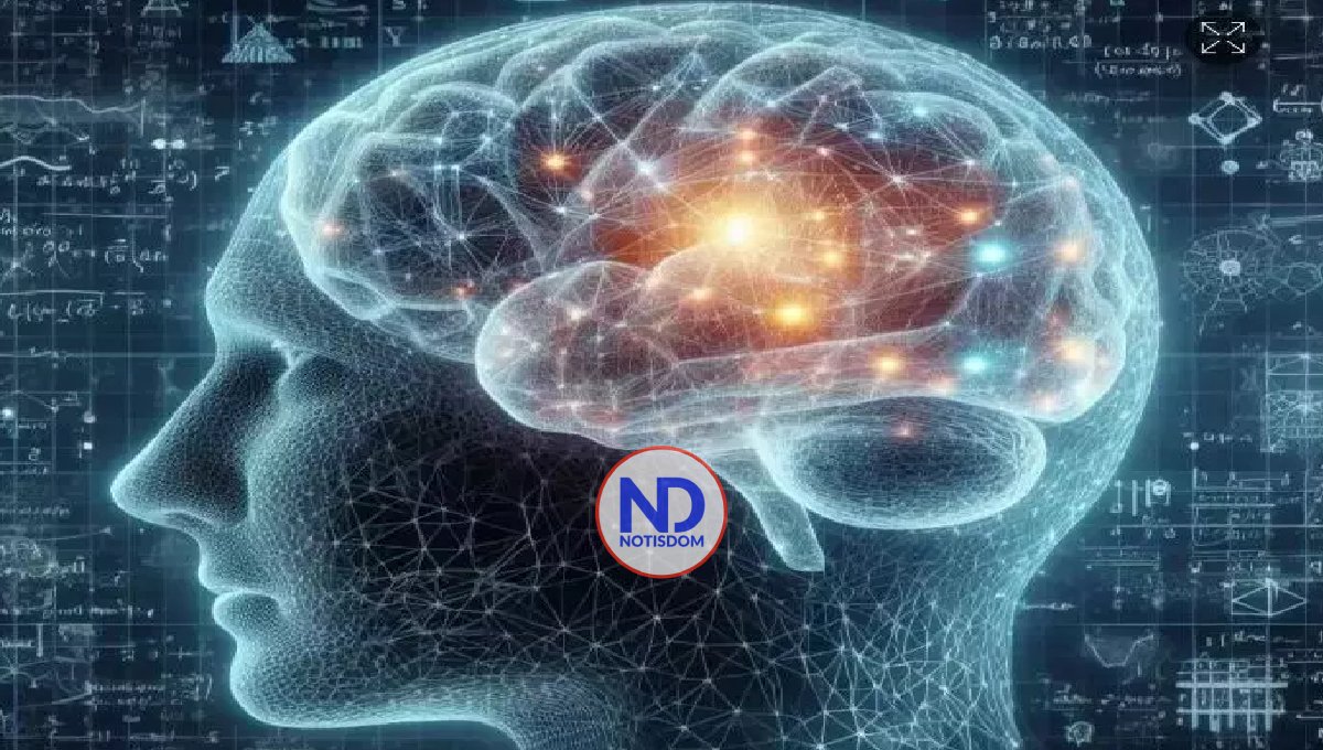 Explican por qué a veces olvidamos lo que íbamos a hacer