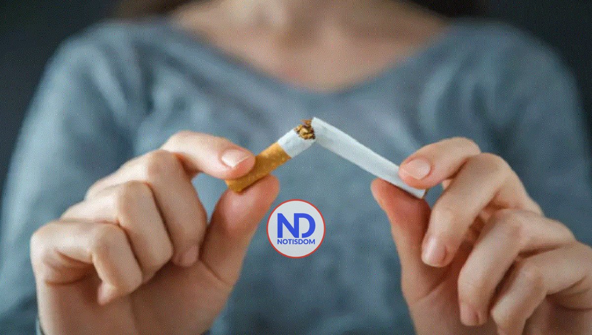 Estudios demuestran que fumar puede encoger el cerebro