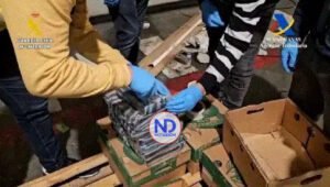 Interceptan en España 530 kilos de cocaína procedentes de RD