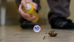 Hombre provoca explosión en su casa tratando de matar una cucaracha en Japón